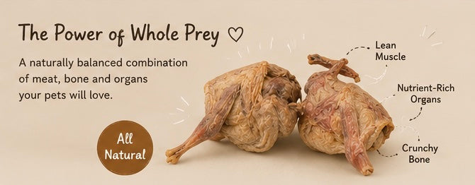 Freeze-dried Raw Whole Quail