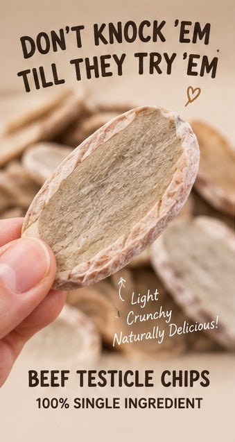 Freeze-dried Raw Beef Testicle Chips