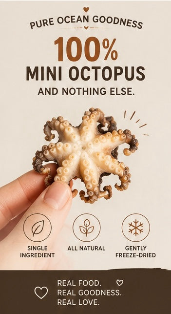 Freeze-dried Mini Octopus