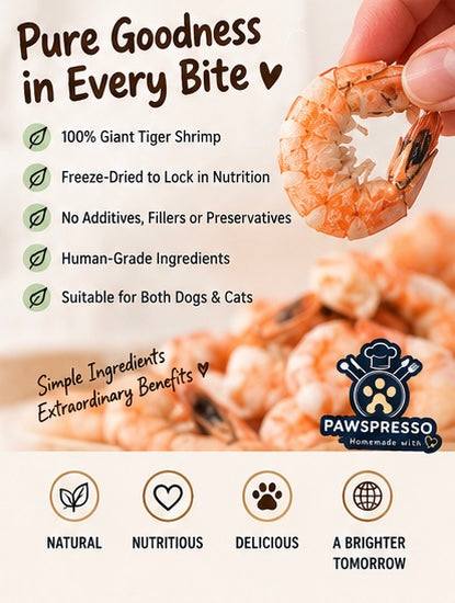 Freeze-dried Giant Tiger Shrimps