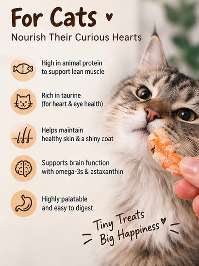 Freeze-dried Giant Tiger Shrimps